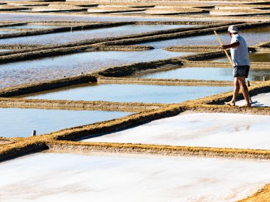 Sea salt marais in Ile de R&eacute; & Ol&eacute;ron @myprivatefrenchtravel